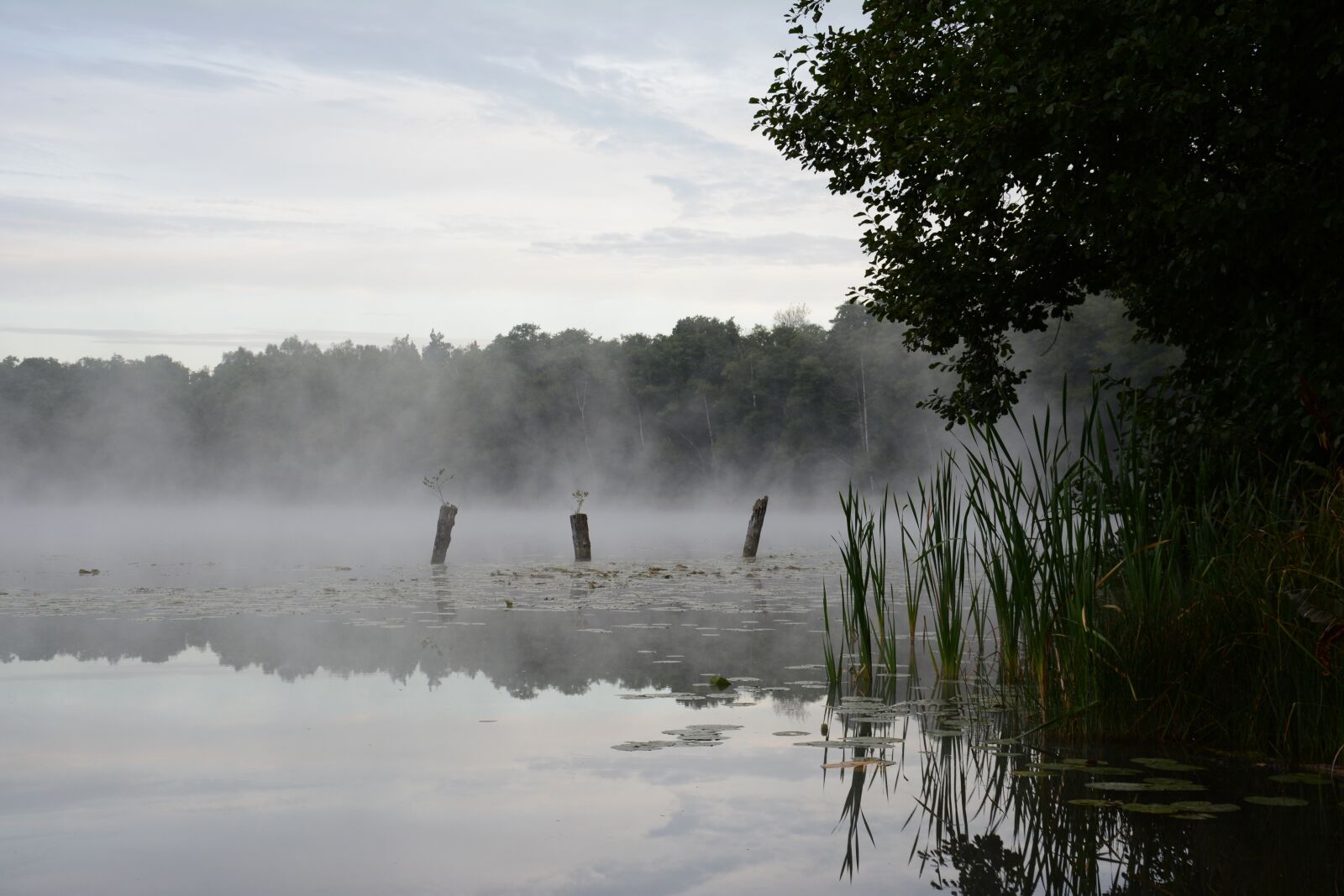 Nikon D7100 sample photo. Climate, the fog, lake photography