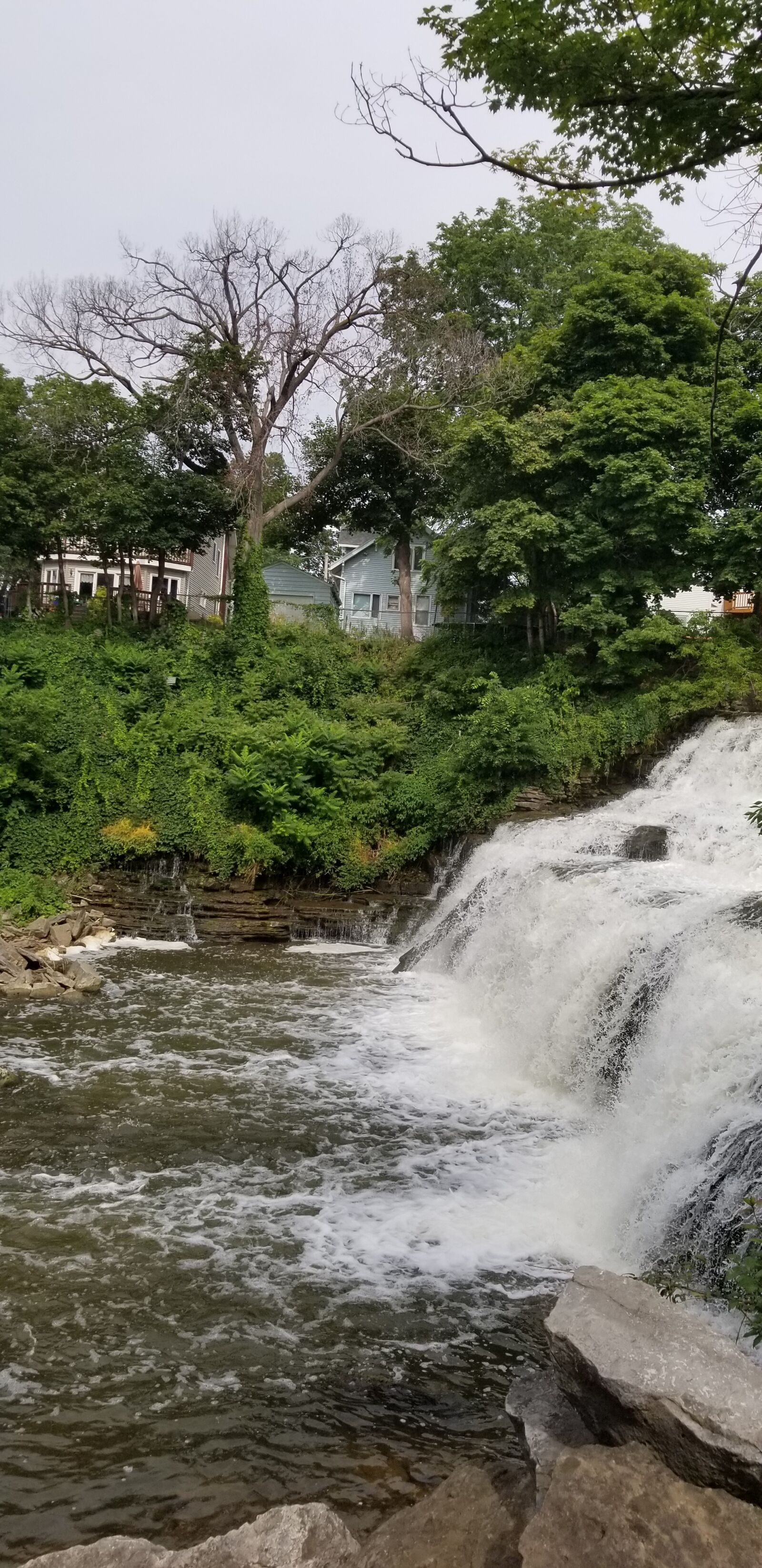 Samsung Galaxy S8 sample photo