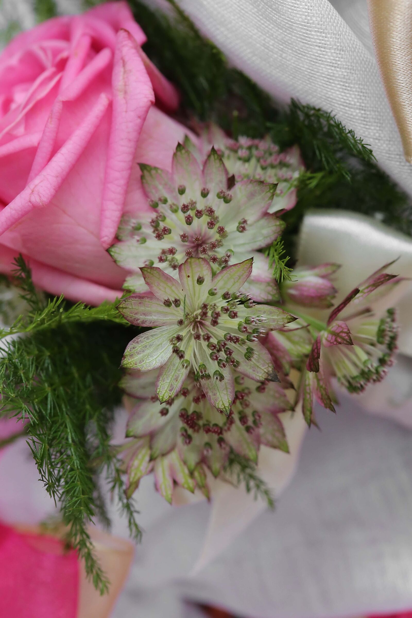 Canon EOS 6D sample photo. Rose, pinkish, arrangement, bouquet photography