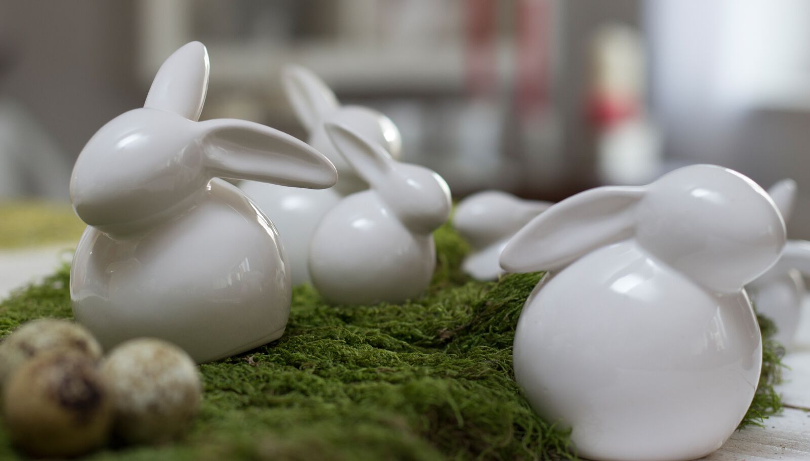 Canon EOS 600D (Rebel EOS T3i / EOS Kiss X5) + Canon EF 50mm F1.8 II sample photo. Decoration, rabbit, easter photography