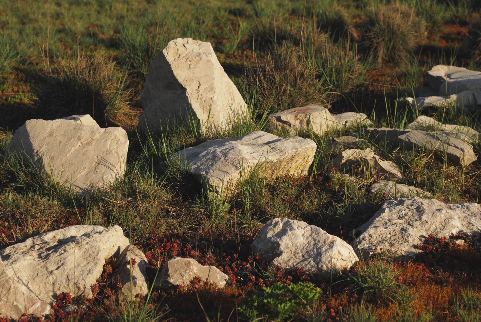 Nikon D60 sample photo. Rocks, the stones, nature photography