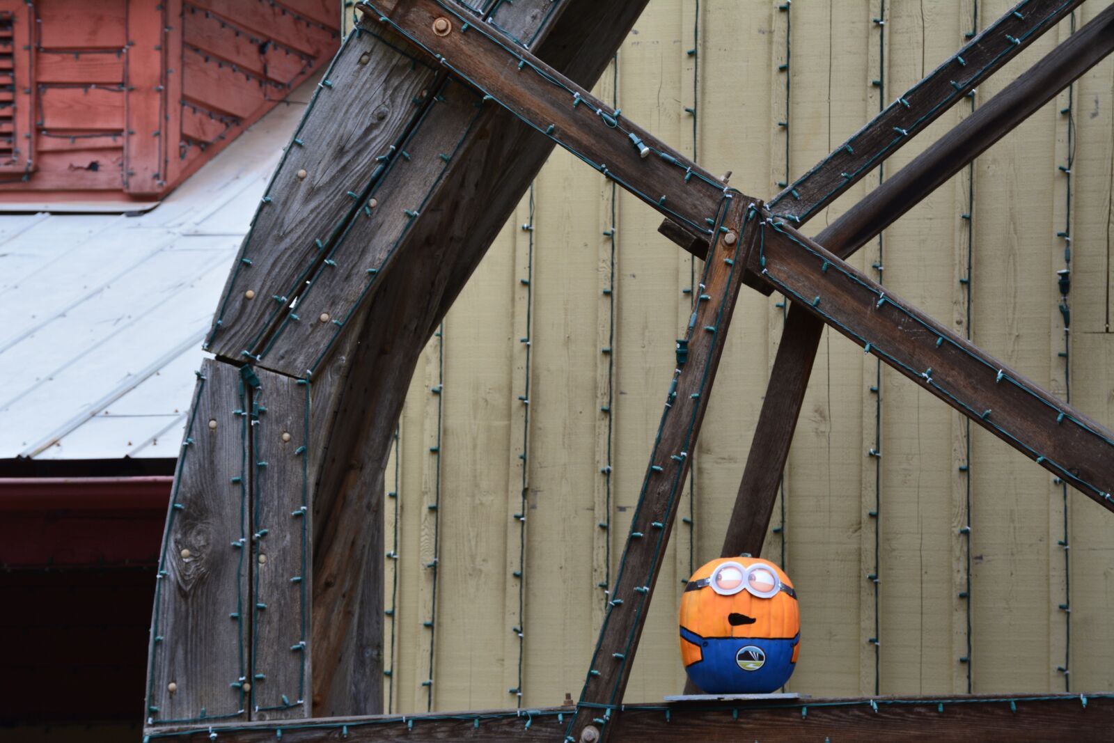 Nikon D5200 sample photo. Minion, pumpkin, wheel photography