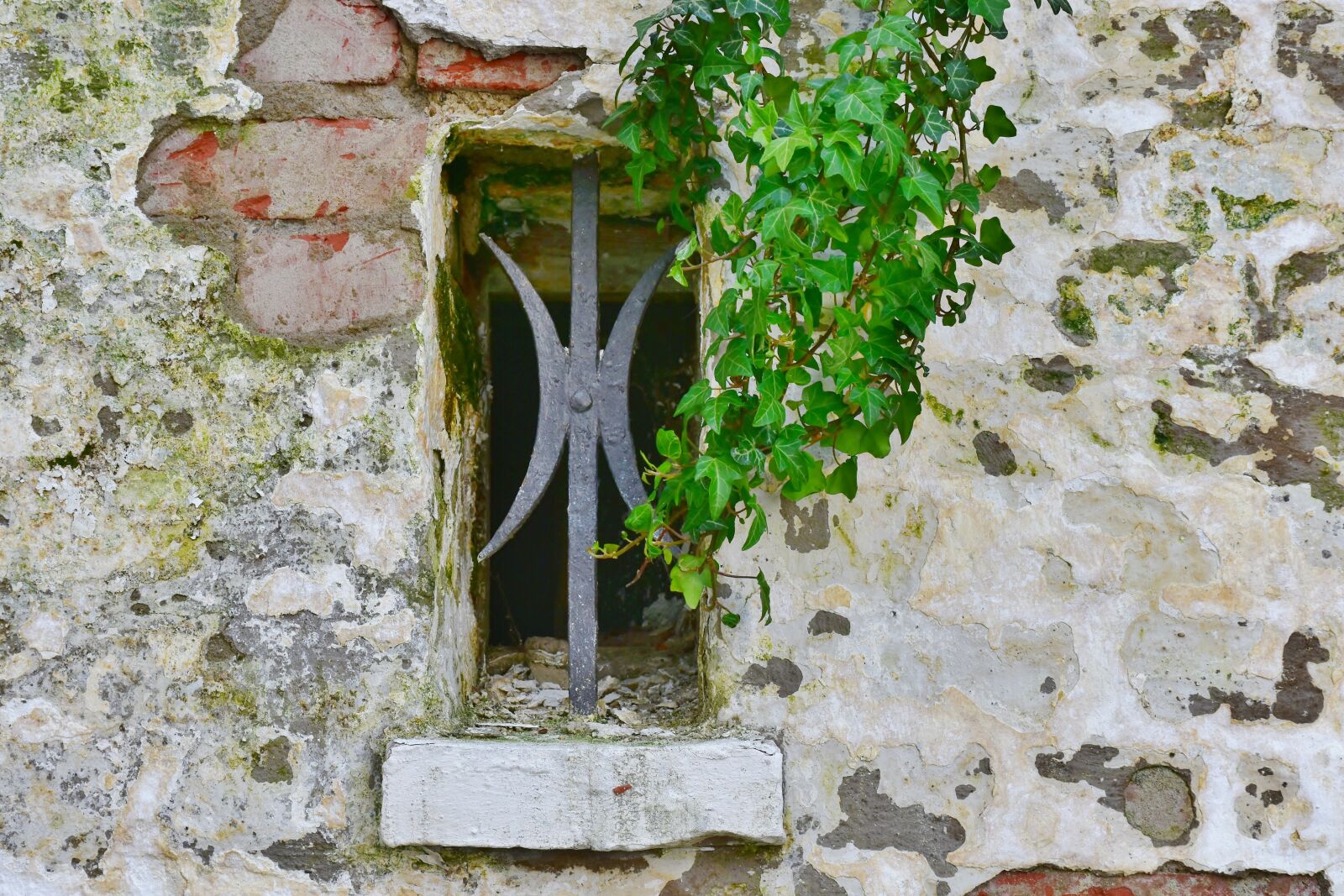 Nikon D7200 sample photo. Old, historically, castle wall photography