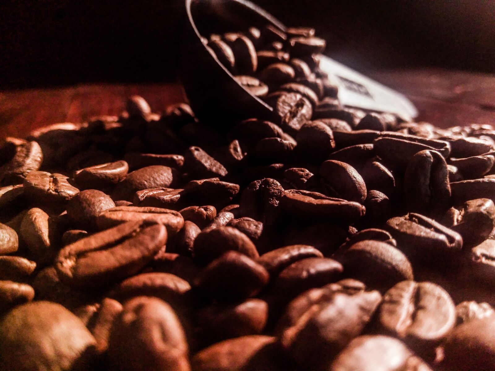 HMD Global Nokia 5 sample photo. Coffee, coffee bean, a photography