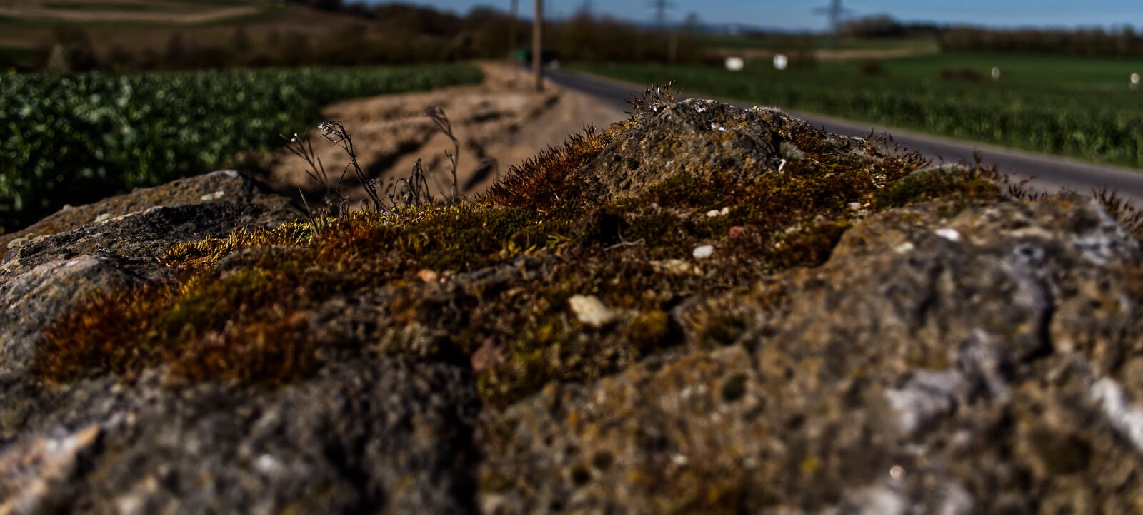 Nikon D5500 sample photo. Stone, moss, nature photography