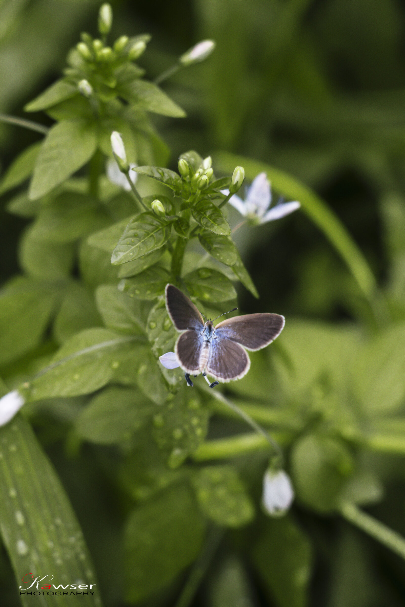 Canon EOS 70D sample photo