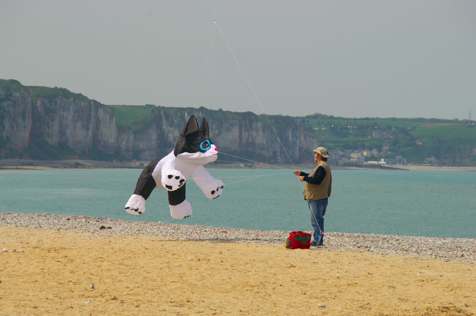 Pentax K20D sample photo. Kite, beach, cat photography