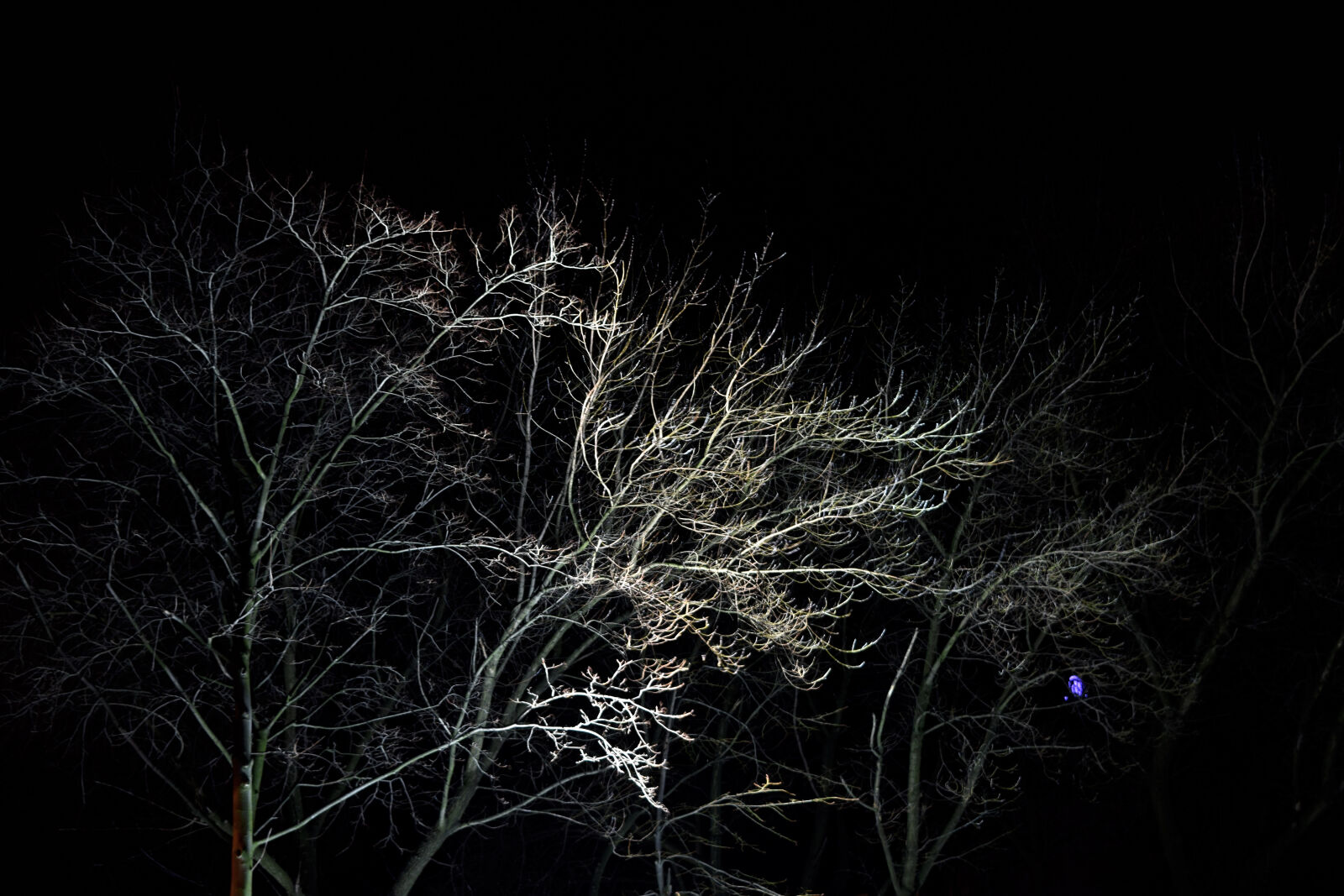 Nikon D3300 sample photo. Autumn, chlodna, darkness, light photography