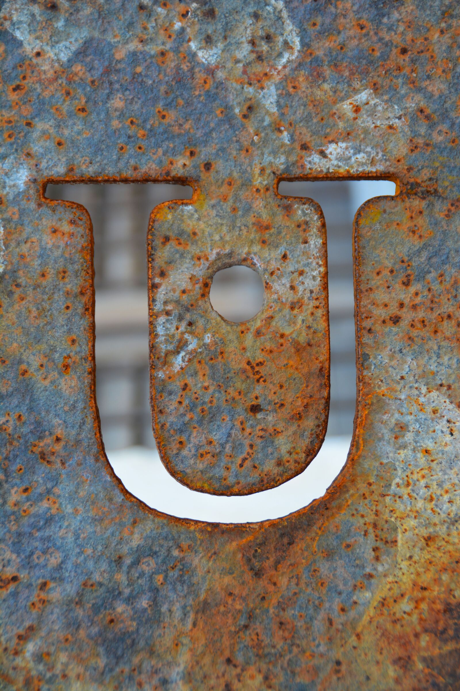Nikon D5200 sample photo. Letter, u, alphabet photography