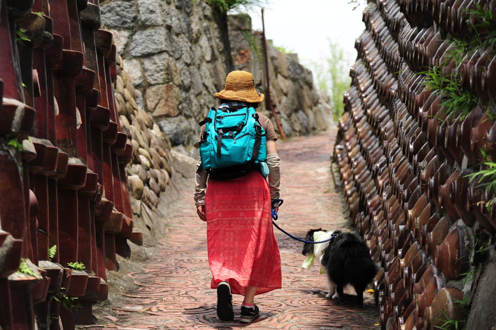 Nikon D700 sample photo. Pottery, tokoname, walk photography