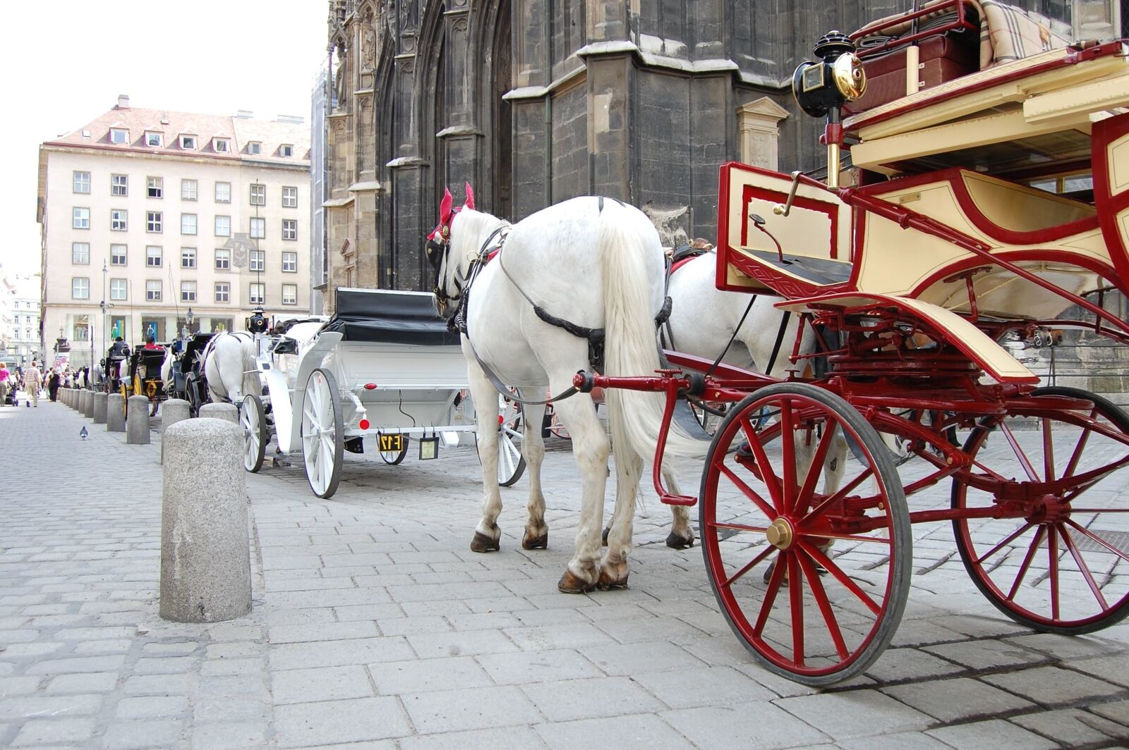 Nikon D40 sample photo. Carriage, vehicle, horse, street photography