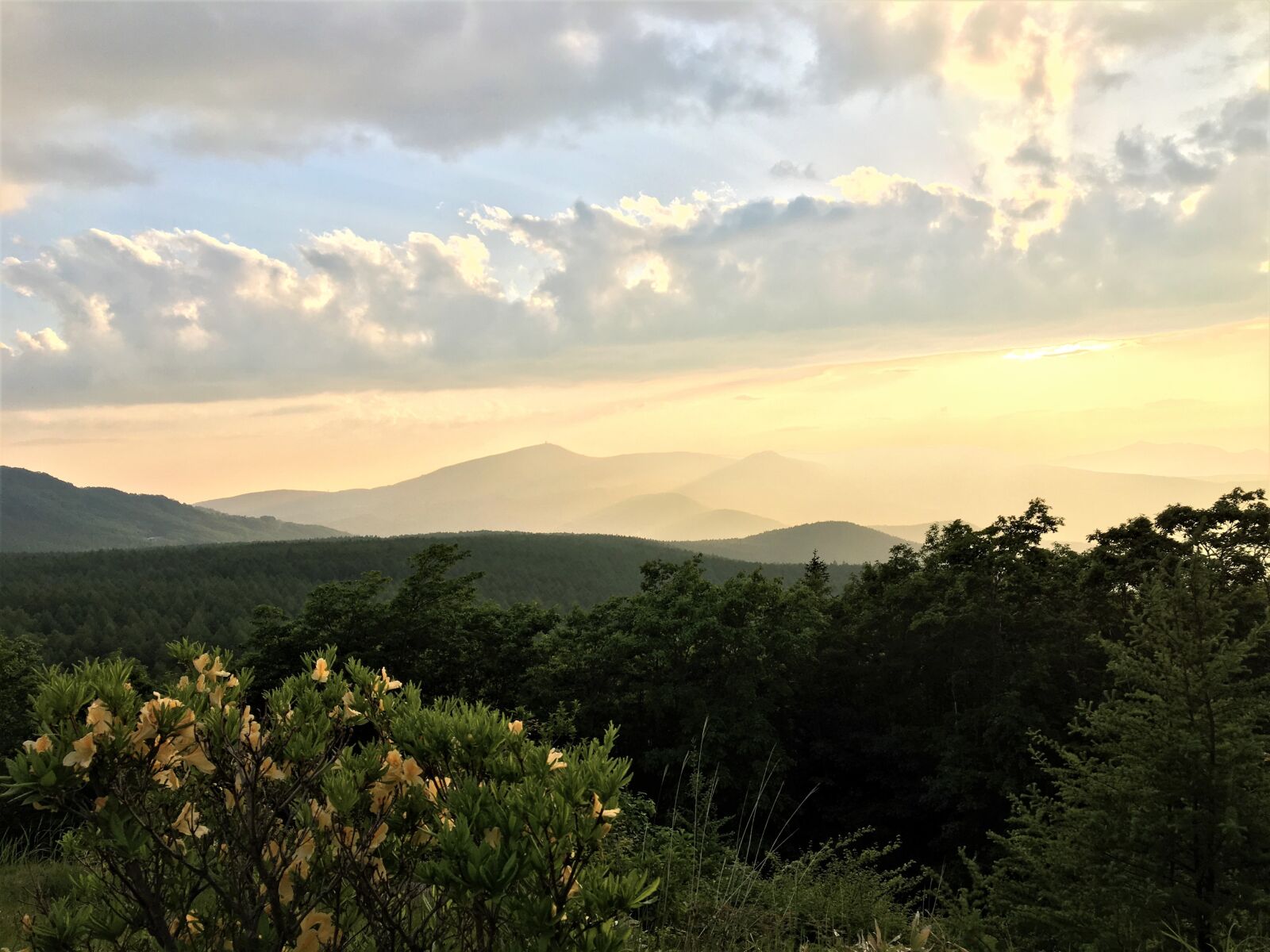 iPhone 6s back camera 4.15mm f/2.2 sample photo. 山, 夕暮れ, 高原 photography