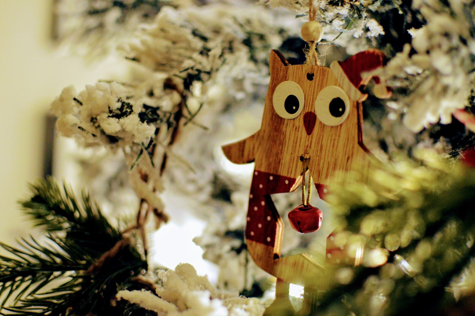 Nikon D3200 sample photo. Christmas, owl, tree photography