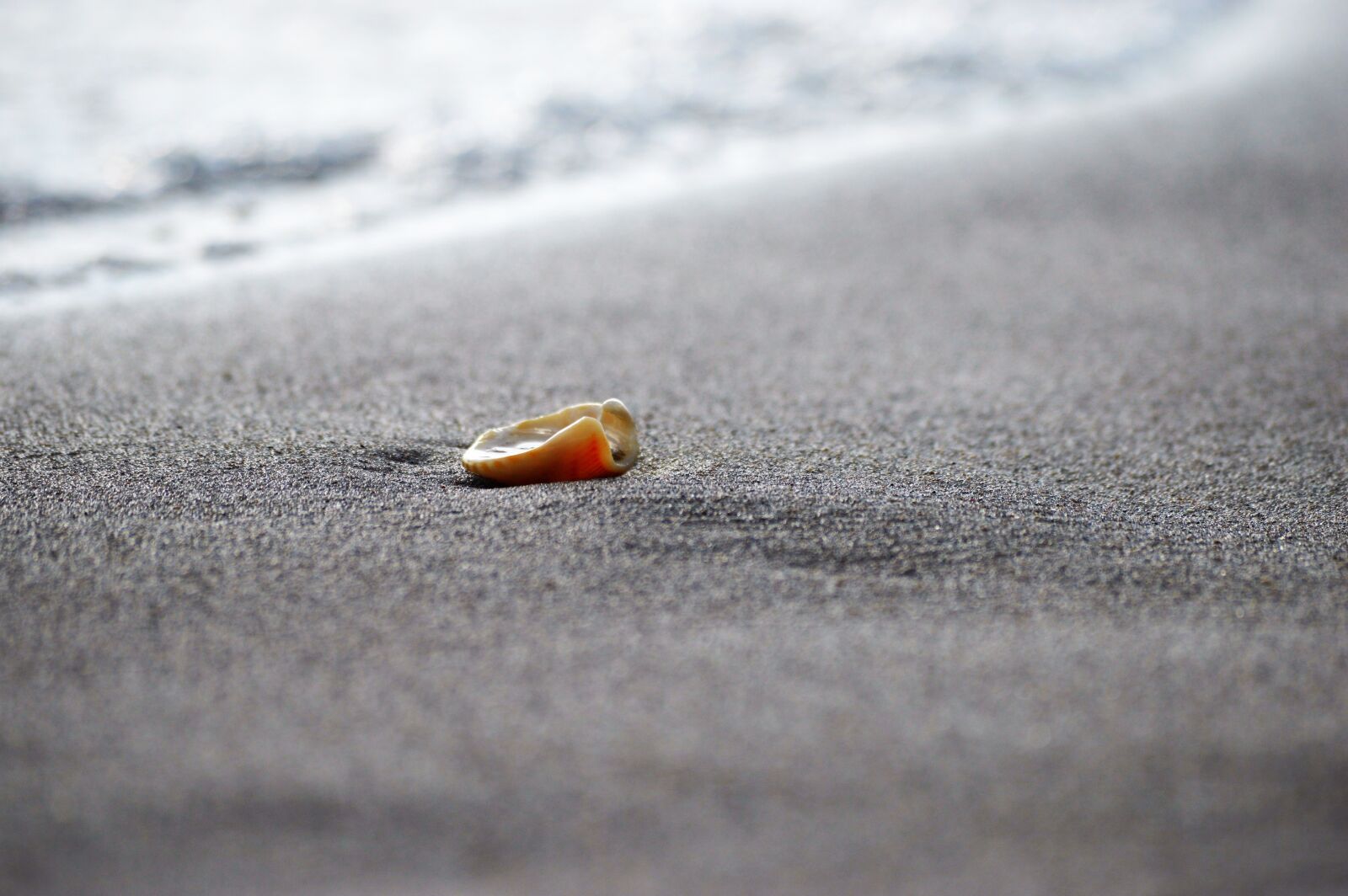 Nikon D3200 sample photo. Shelf, sand, sea photography