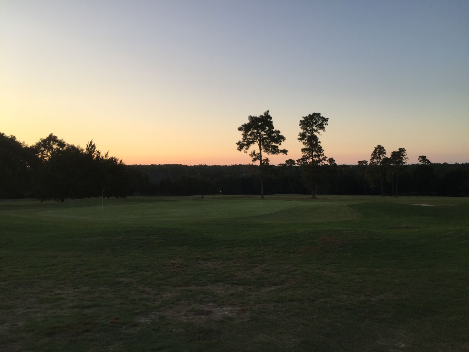 iPhone 6 Plus back camera 4.15mm f/2.2 sample photo. Golf course, evening sun photography