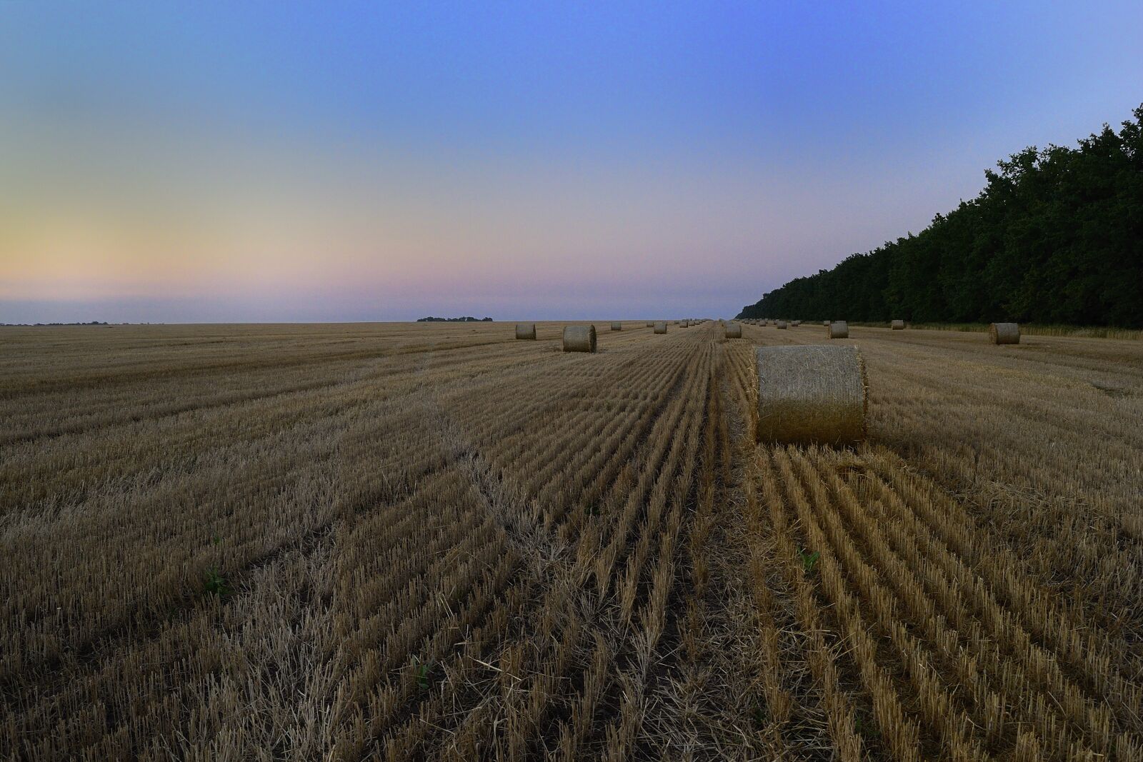 Nikon D3100 sample photo. Evening, sunset, ukraine photography