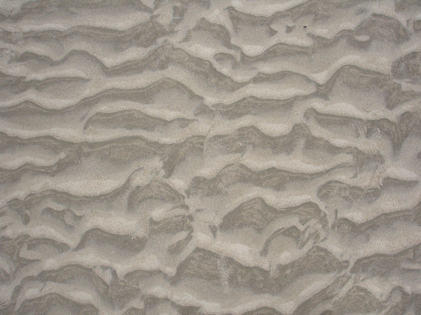 Sony DSC-P200 sample photo. Sand, image of an photography