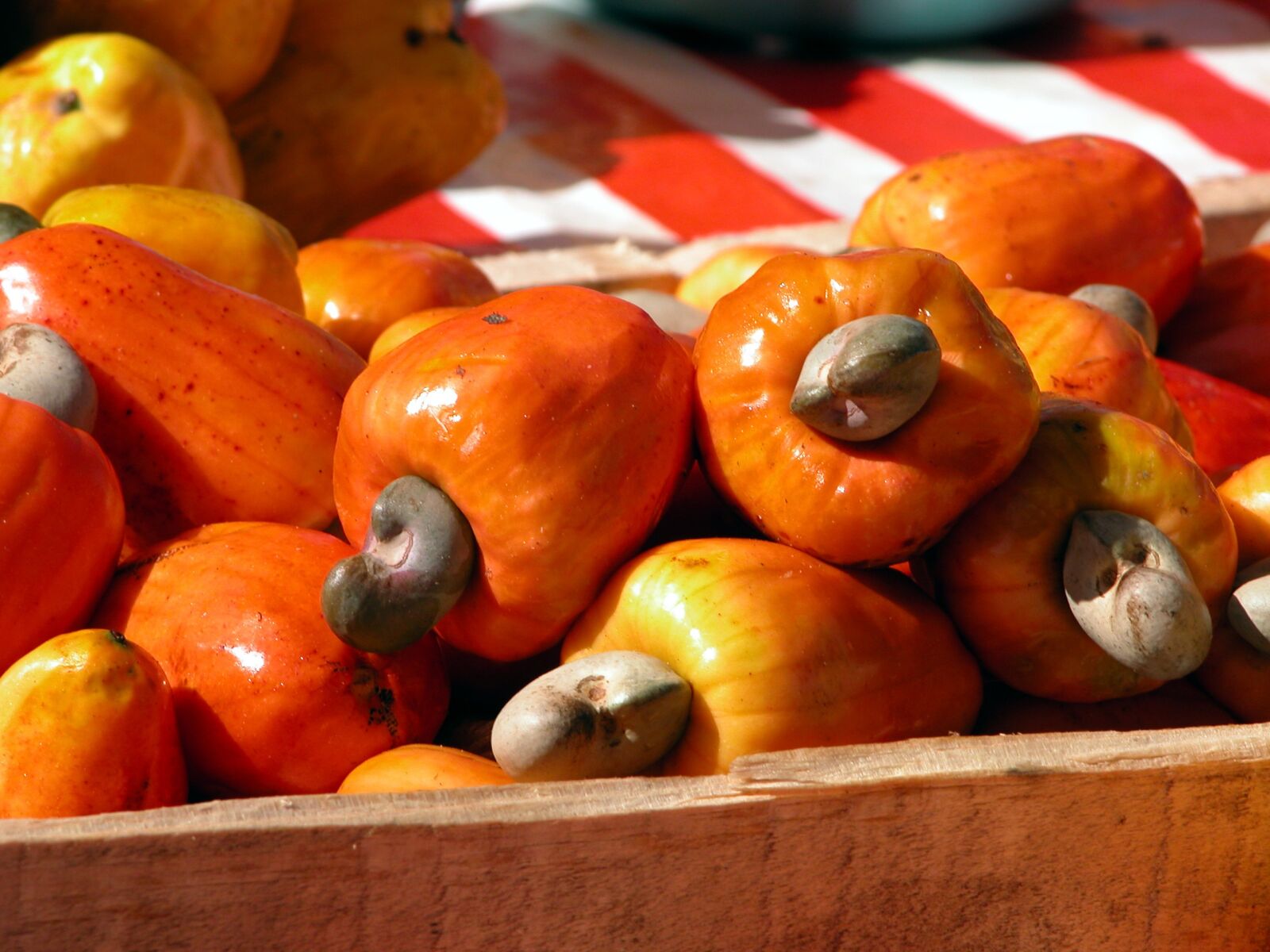 Nikon E5700 sample photo. Fruit, cashew nuts, brazil photography