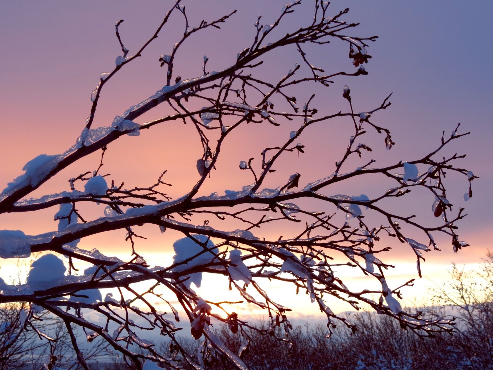 Canon PowerShot SX40 HS sample photo. Winter, frost, snow photography