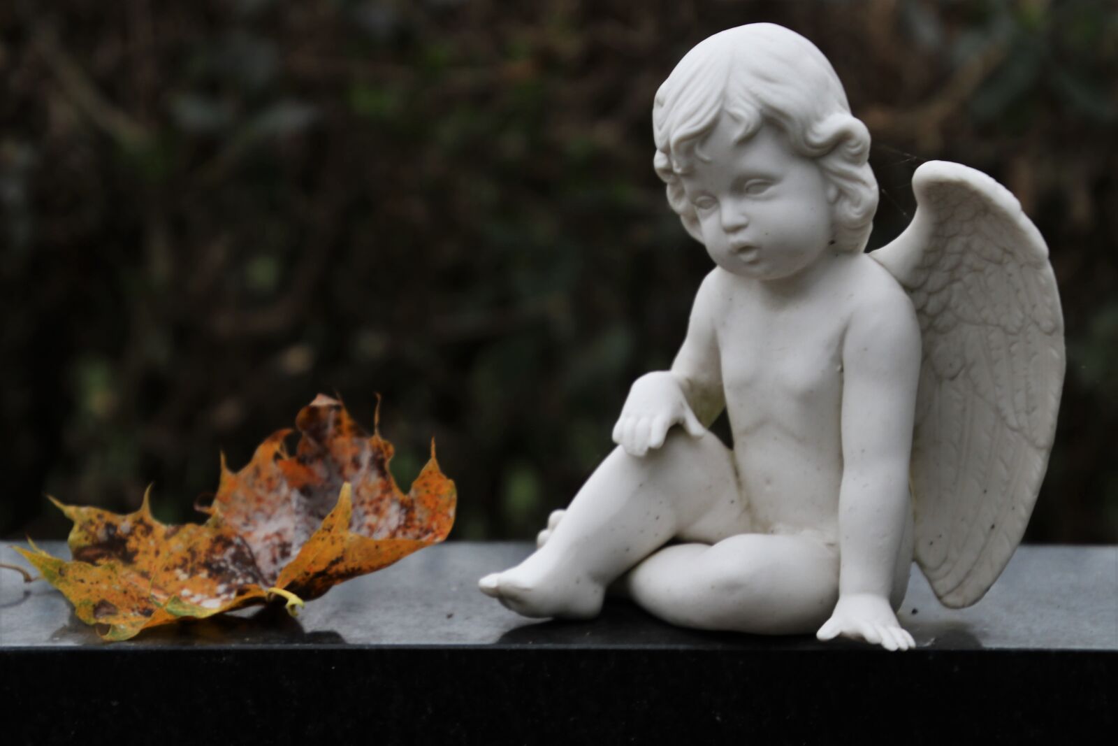 Canon EOS 80D sample photo. Angel, sculpture, wings photography