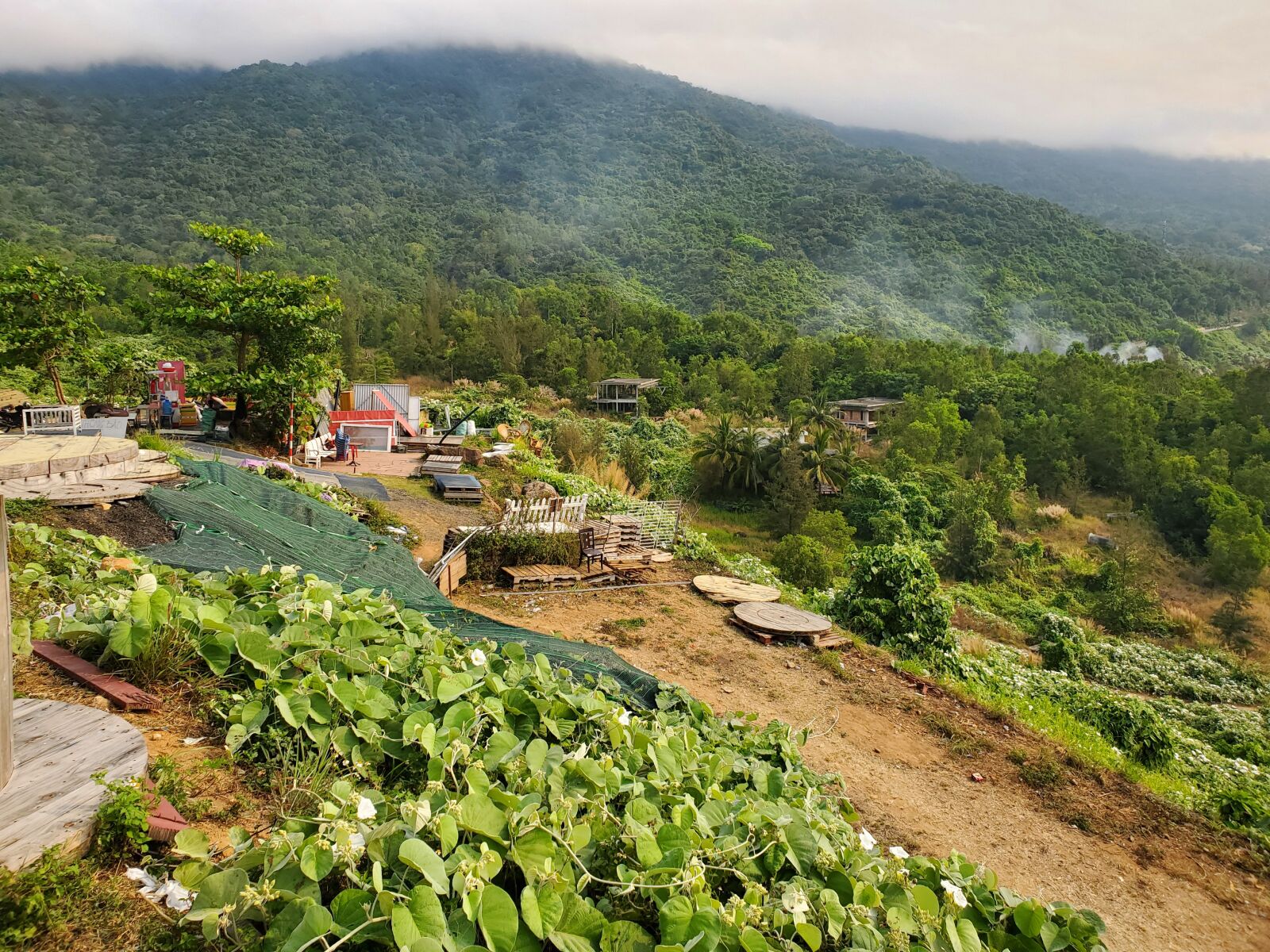 Samsung Galaxy S10e sample photo. Son tra mountain, monkey photography