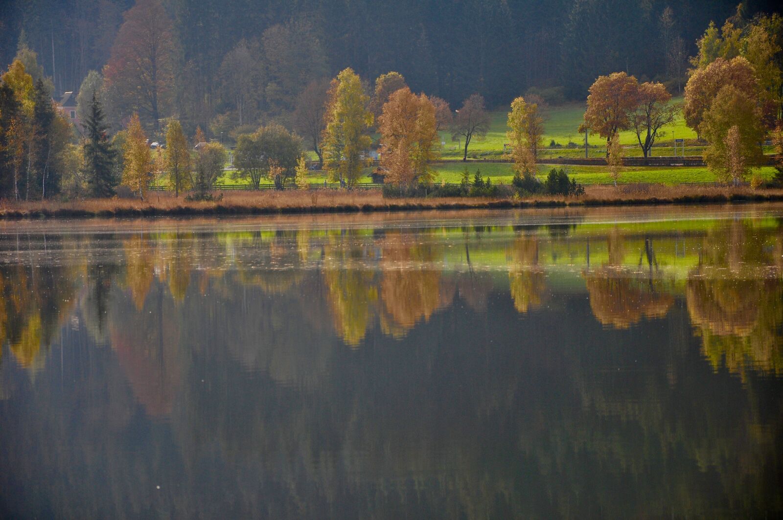 Nikon D90 sample photo. Lake, water, nature photography