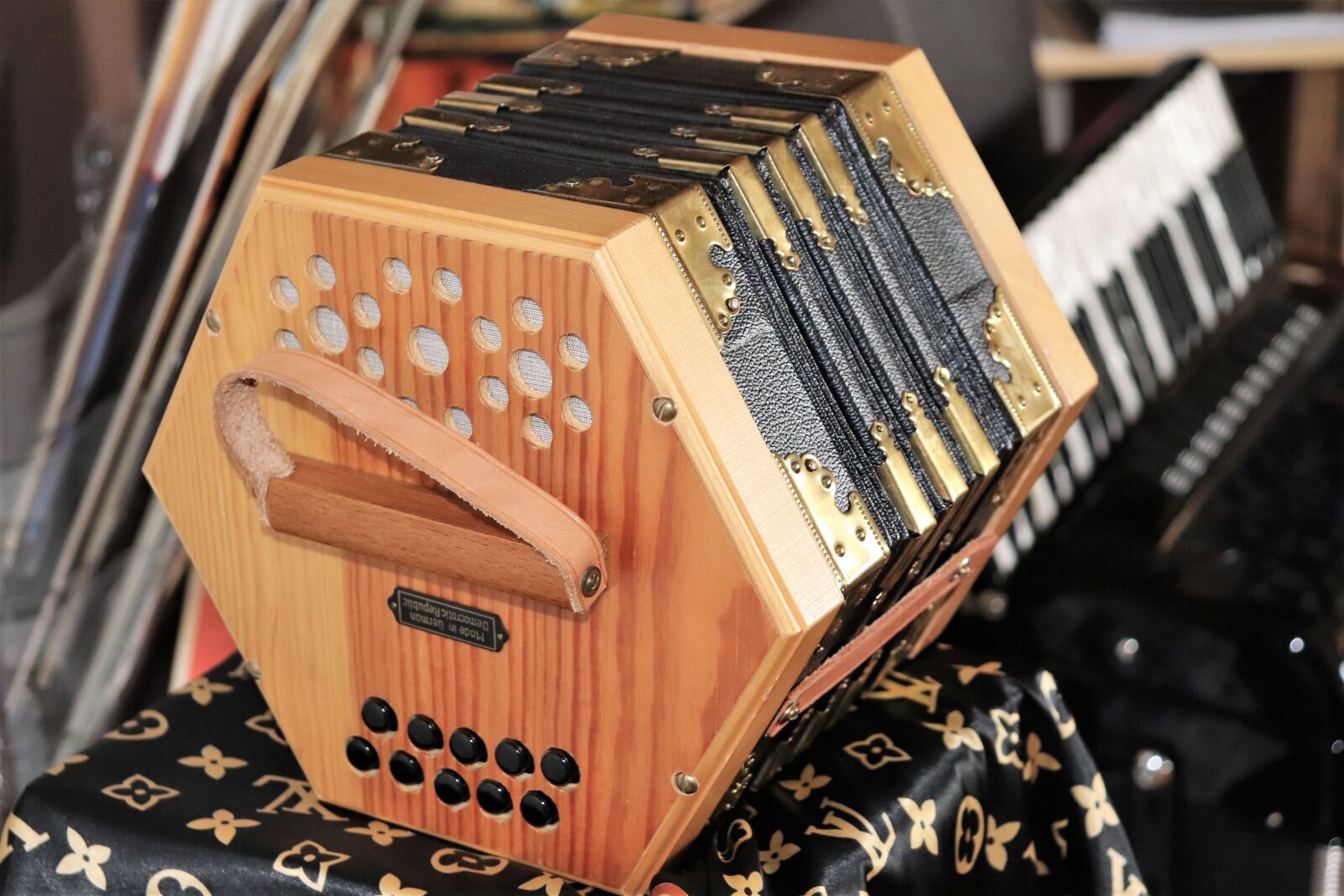 Canon EOS 800D (EOS Rebel T7i / EOS Kiss X9i) sample photo. Bandoneon, accordion, music photography