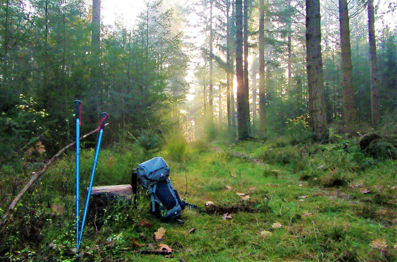 Canon PowerShot SX610 HS sample photo. Backpack, hiking, walking stick photography