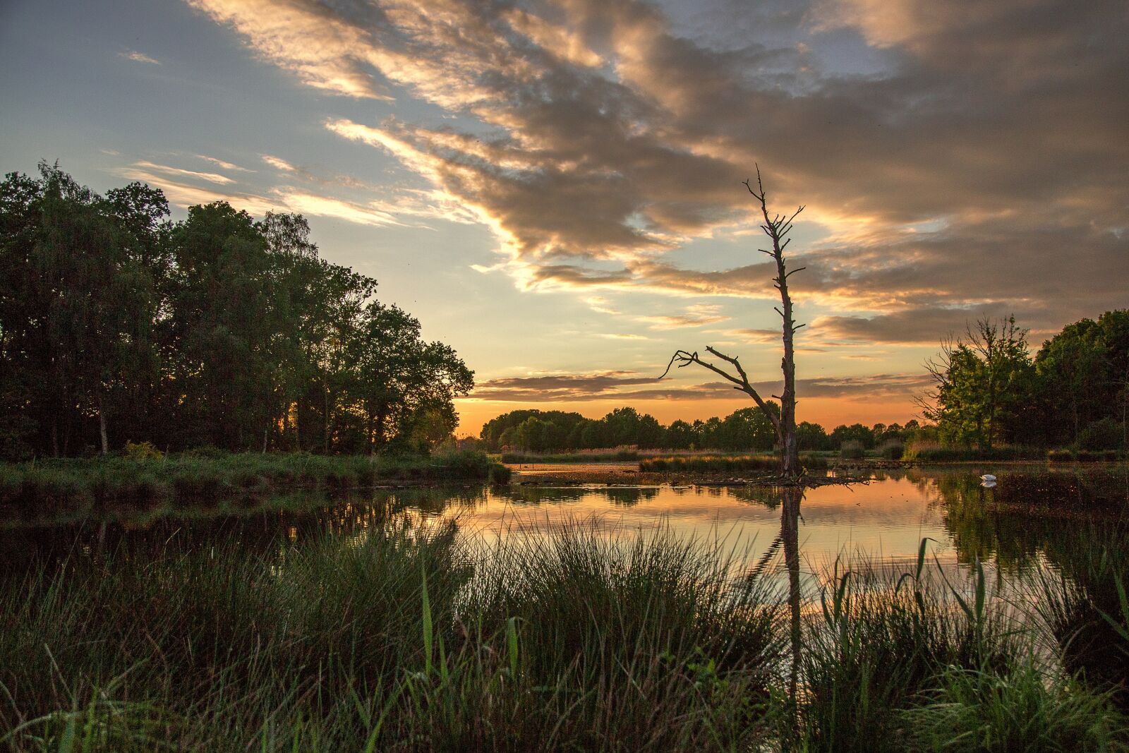 Canon EOS 6D + Canon EF 24-105mm F4L IS USM sample photo. Nature, reflection, waters photography