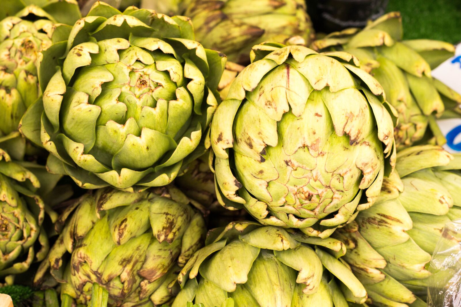 Canon EOS 700D (EOS Rebel T5i / EOS Kiss X7i) + Canon EF 50mm F1.8 II sample photo. Artichoke, green, cook photography