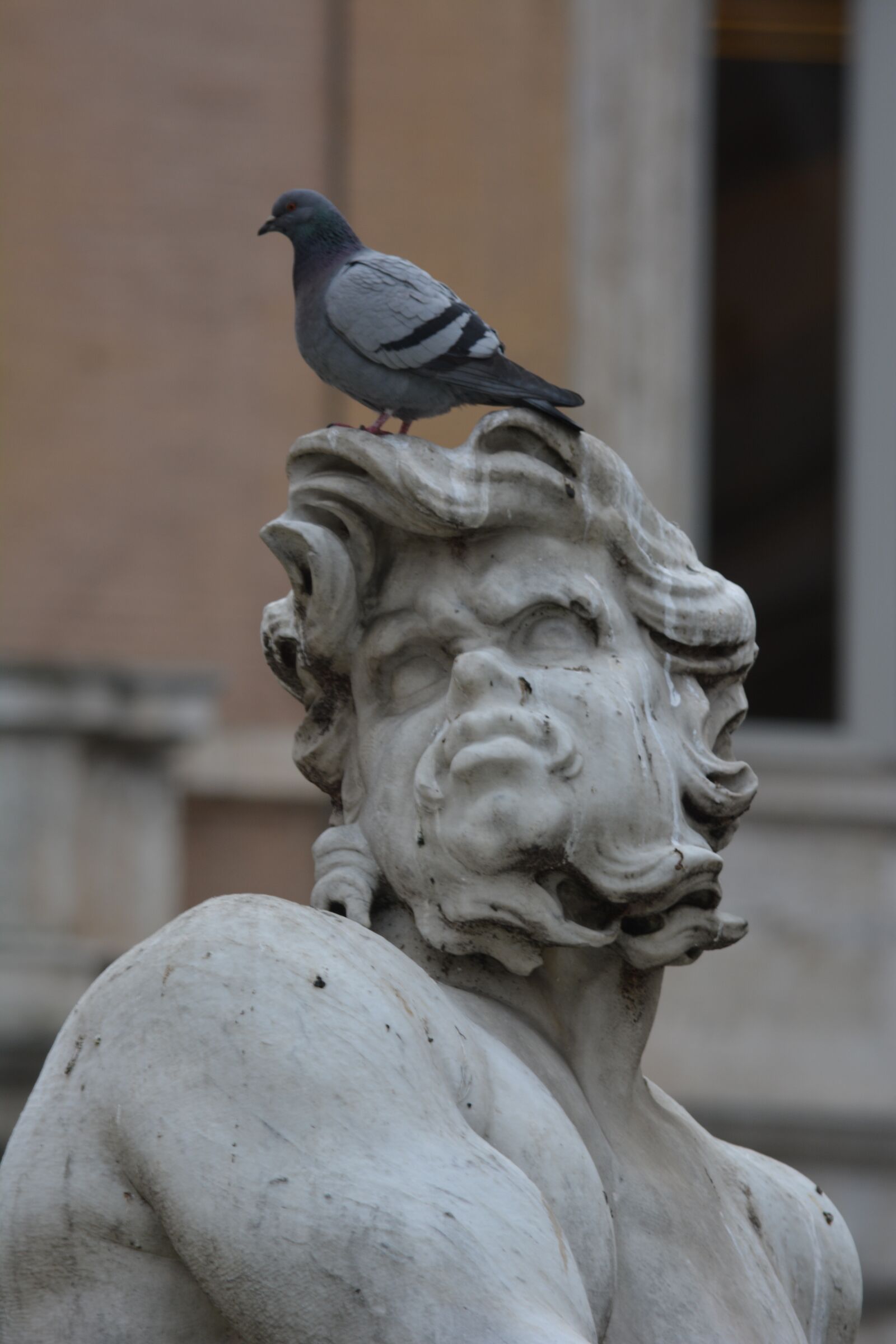 Nikon D5200 sample photo. Statue, bird, italy photography