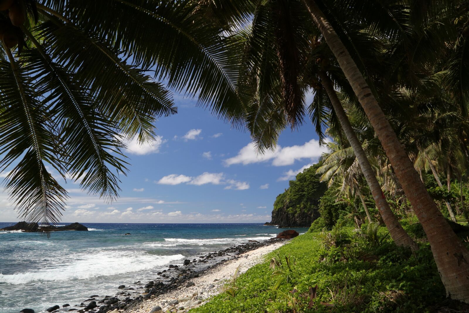 Canon EF 24-105mm F4L IS USM sample photo. Tropical beach, palm trees photography