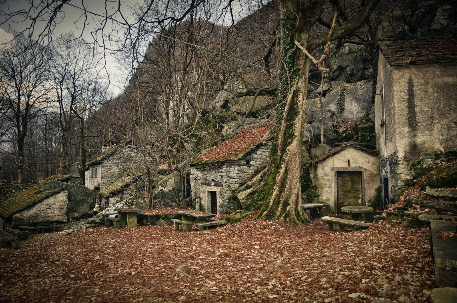 Nikon D7000 sample photo. Forest, houses, trees photography