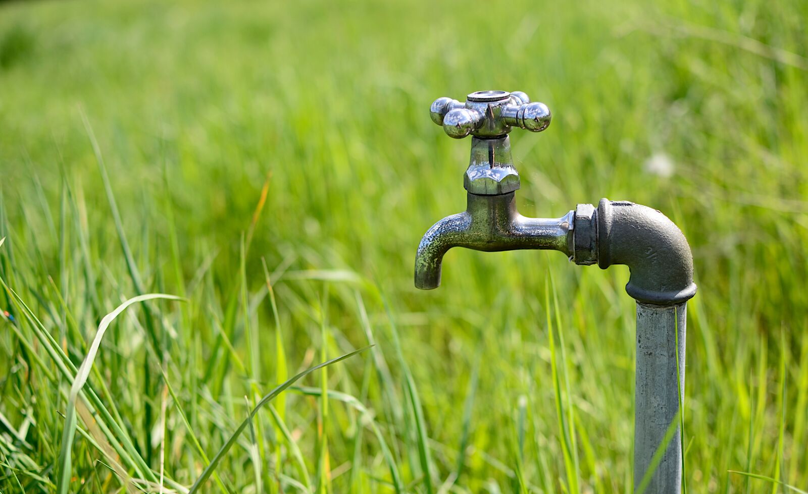 Nikon D7000 sample photo. Faucet, water, meadow photography