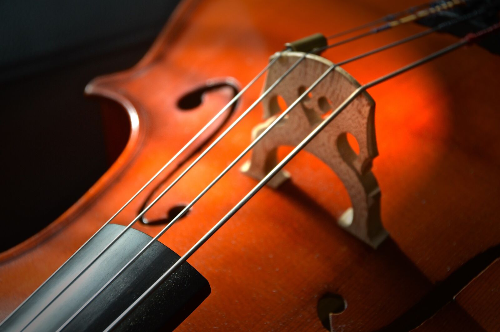Nikon D3200 sample photo. Cello, strings, stringed instrument photography