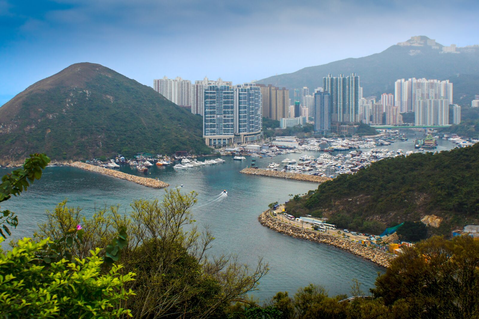 Sony SLT-A33 sample photo. Hong kong ocean park photography