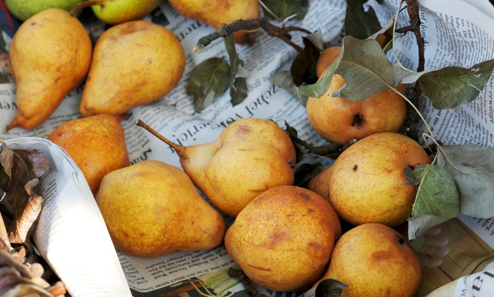 Panasonic Lumix DMC-LX10 (Lumix DMC-LX15) sample photo. Pears, fruit, vitamins photography