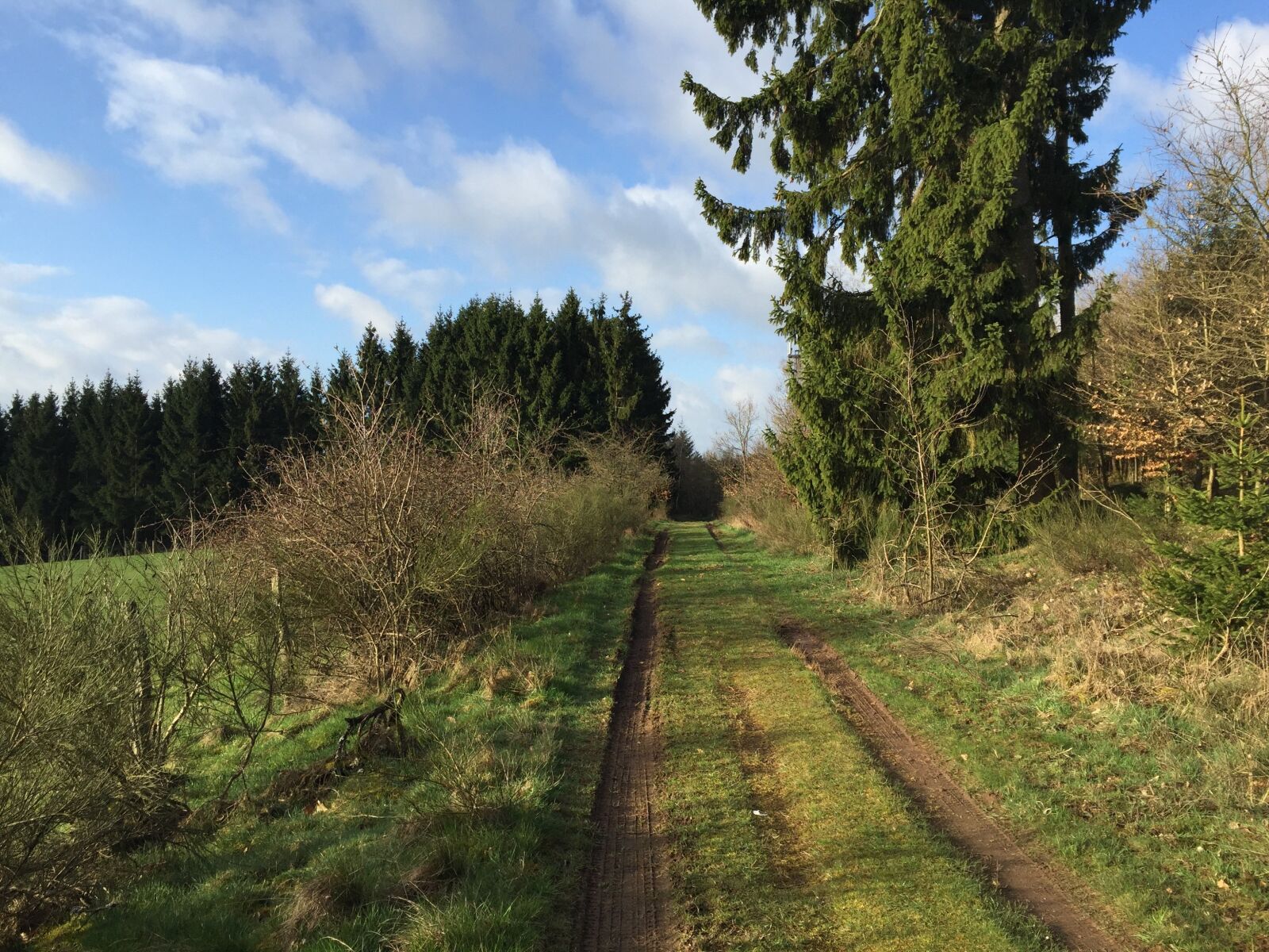 Apple iPhone 6 sample photo. Hiking, away, nature photography