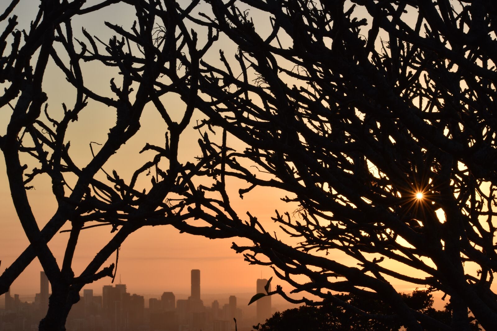 Nikon D5600 sample photo. Silhouette, brisbane, city photography