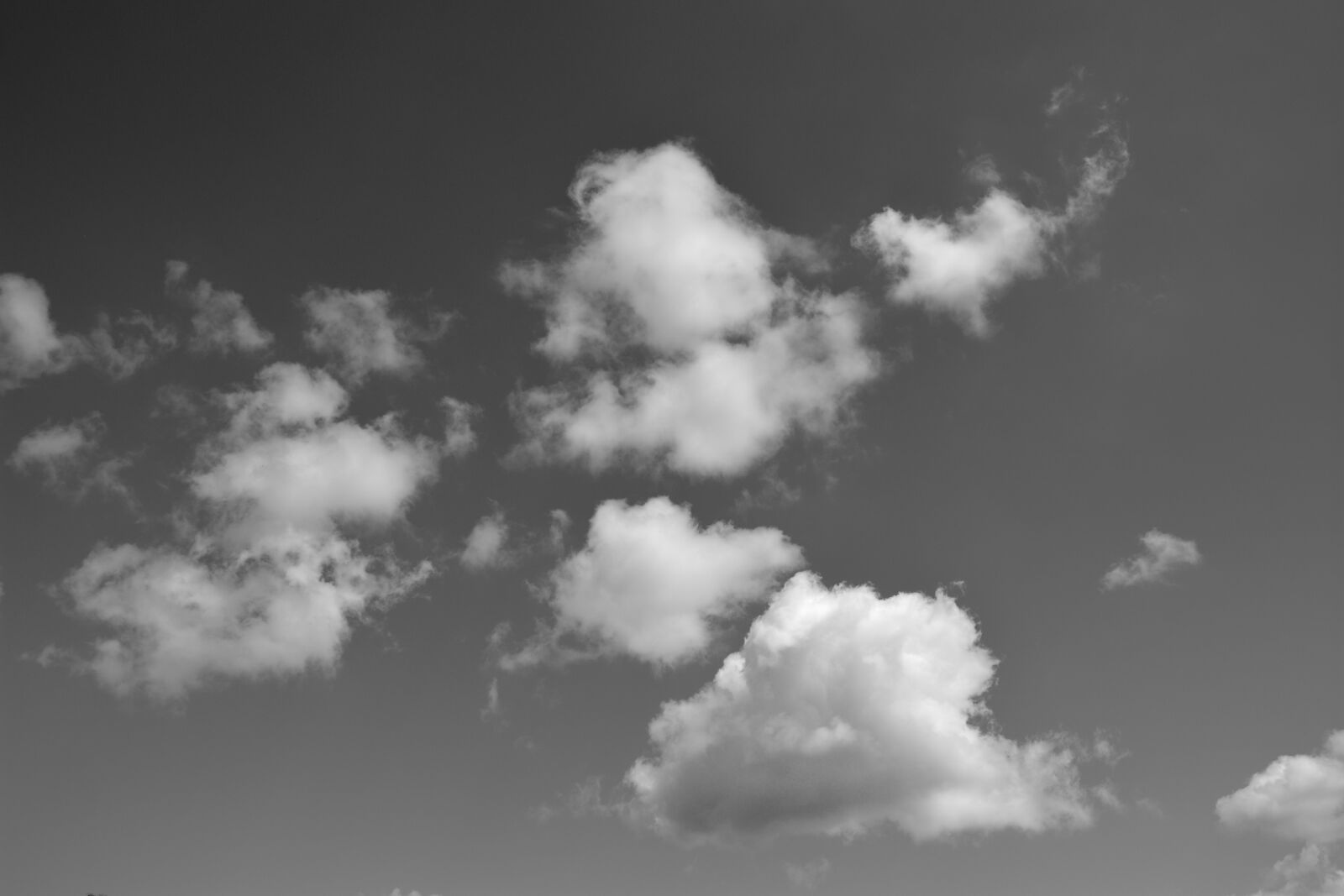 Nikon D5200 sample photo. White cloud, white clouds photography