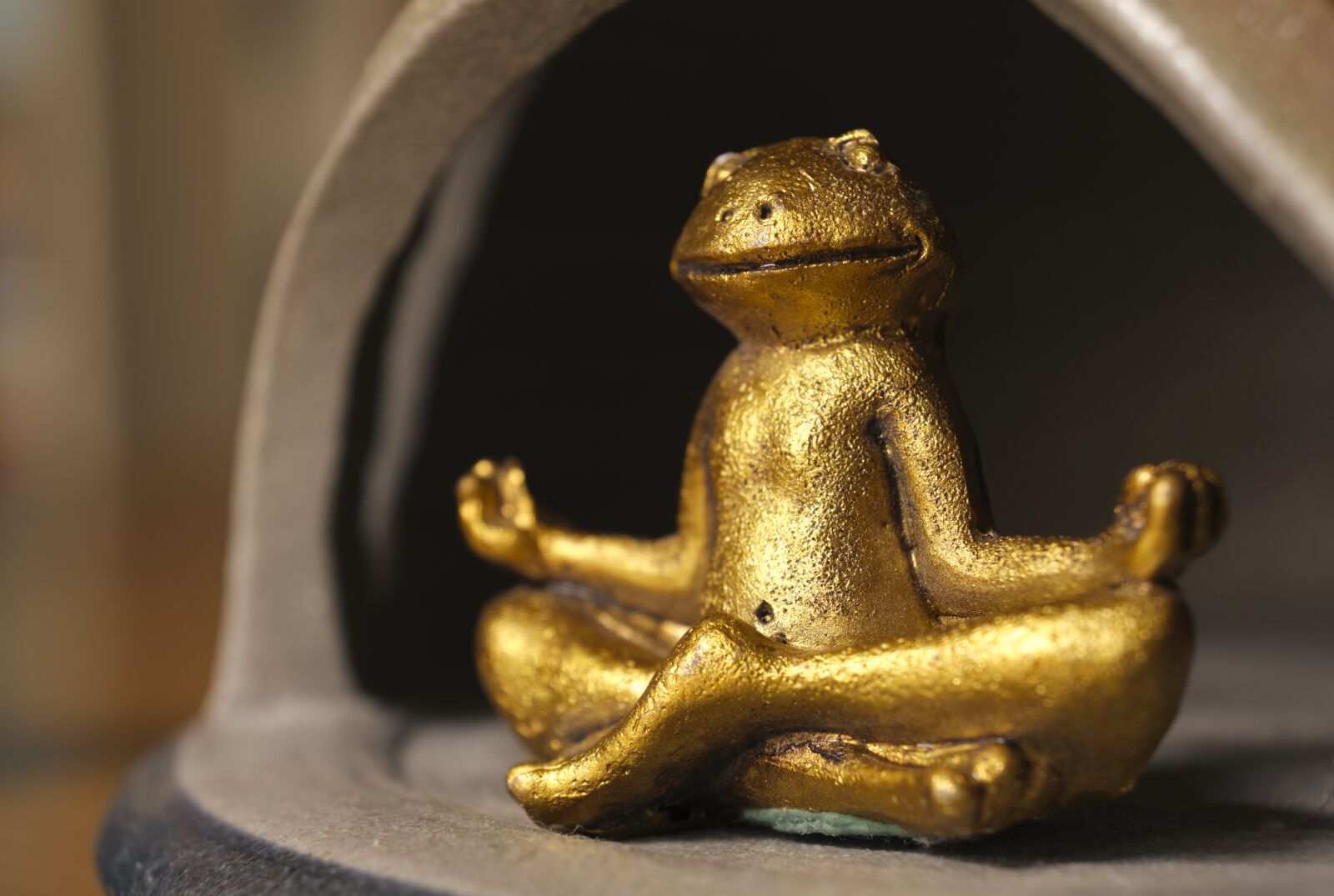 Fujifilm XF 18-55mm F2.8-4 R LM OIS sample photo. Meditation, legged, frog photography