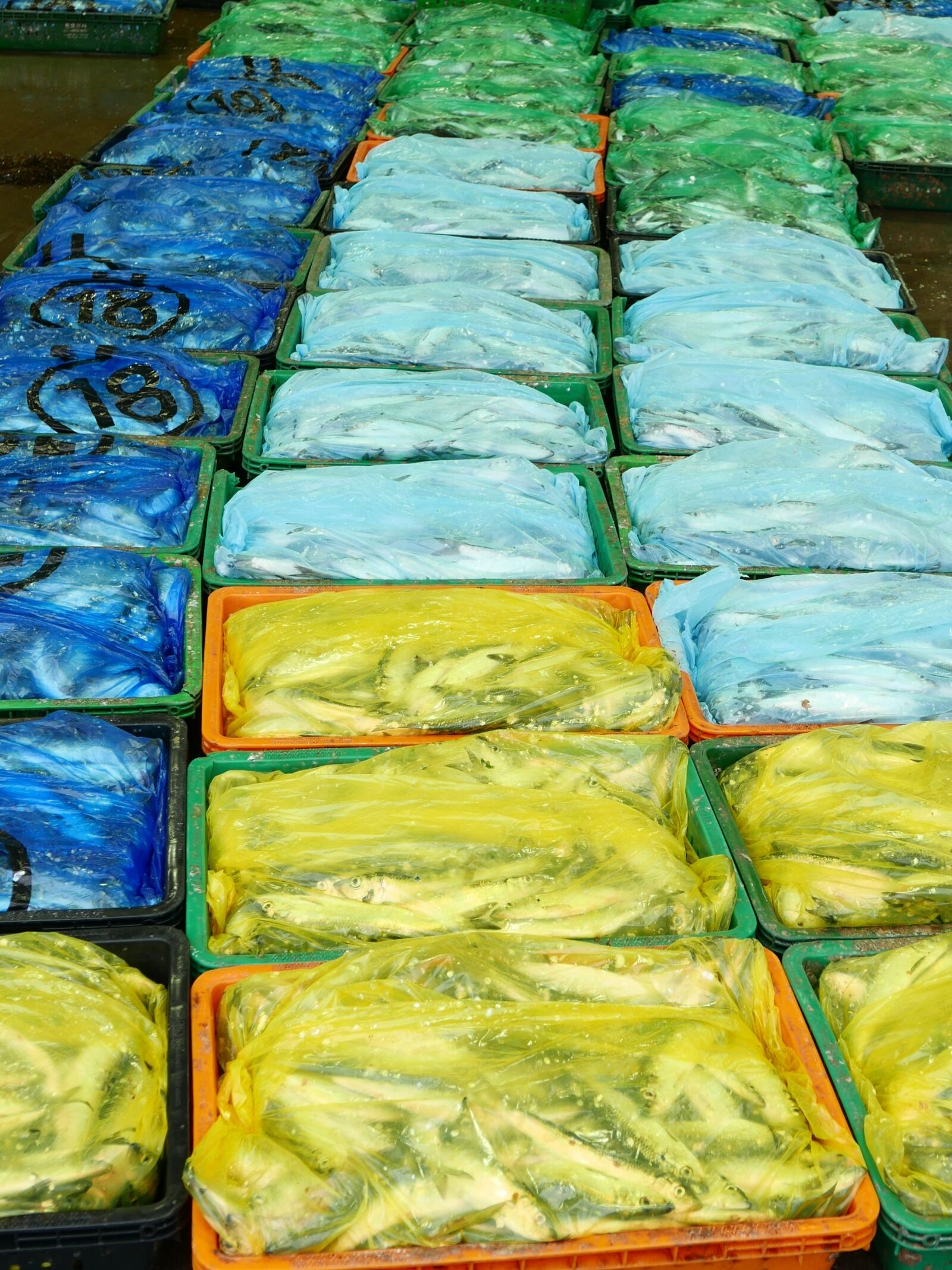 Panasonic Lumix DMC-LX100 sample photo. Fish, plastic, packing photography