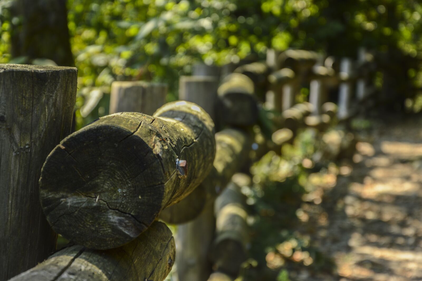 Nikon D3200 sample photo. Away, wood, fence photography