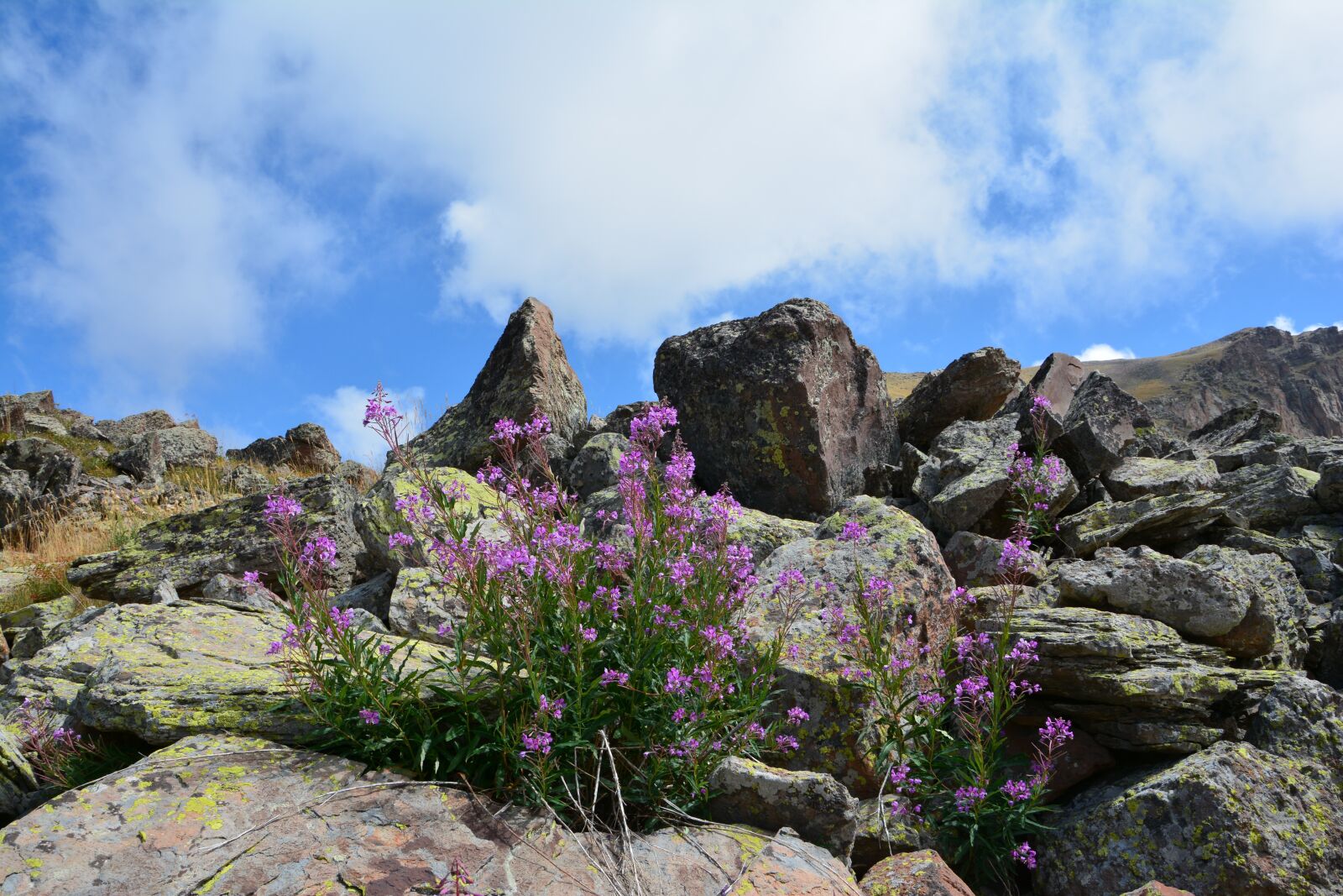 Nikon D7100 sample photo. Nature, landscape, kaçkars photography