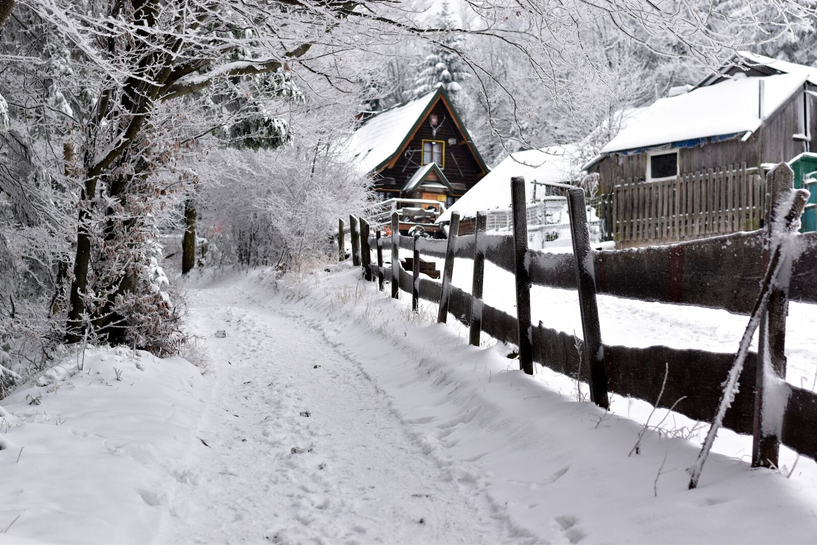 Nikon D3500 sample photo. Snow, winter, ice photography