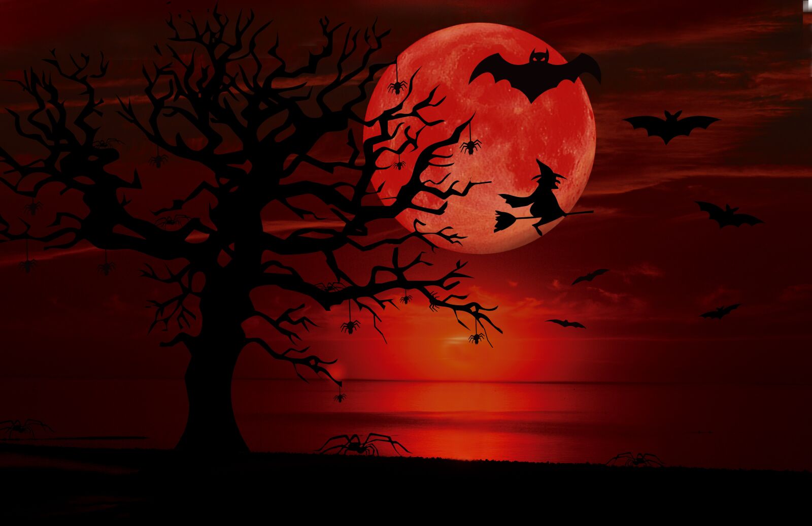 Nikon D3200 sample photo. Halloween, bats, spin photography