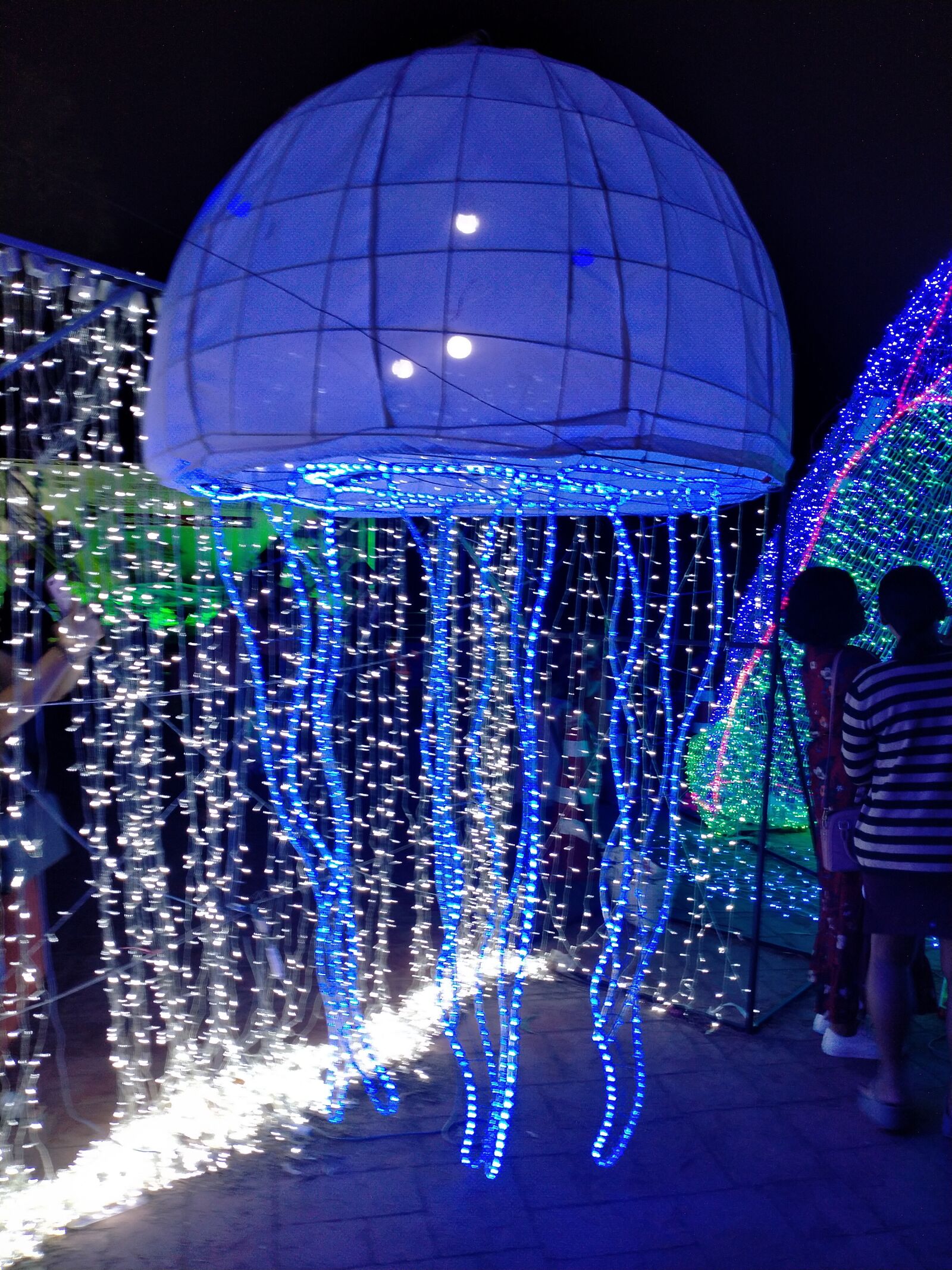 OPPO A5 2020 sample photo. Phuket, electric, jellyfish photography