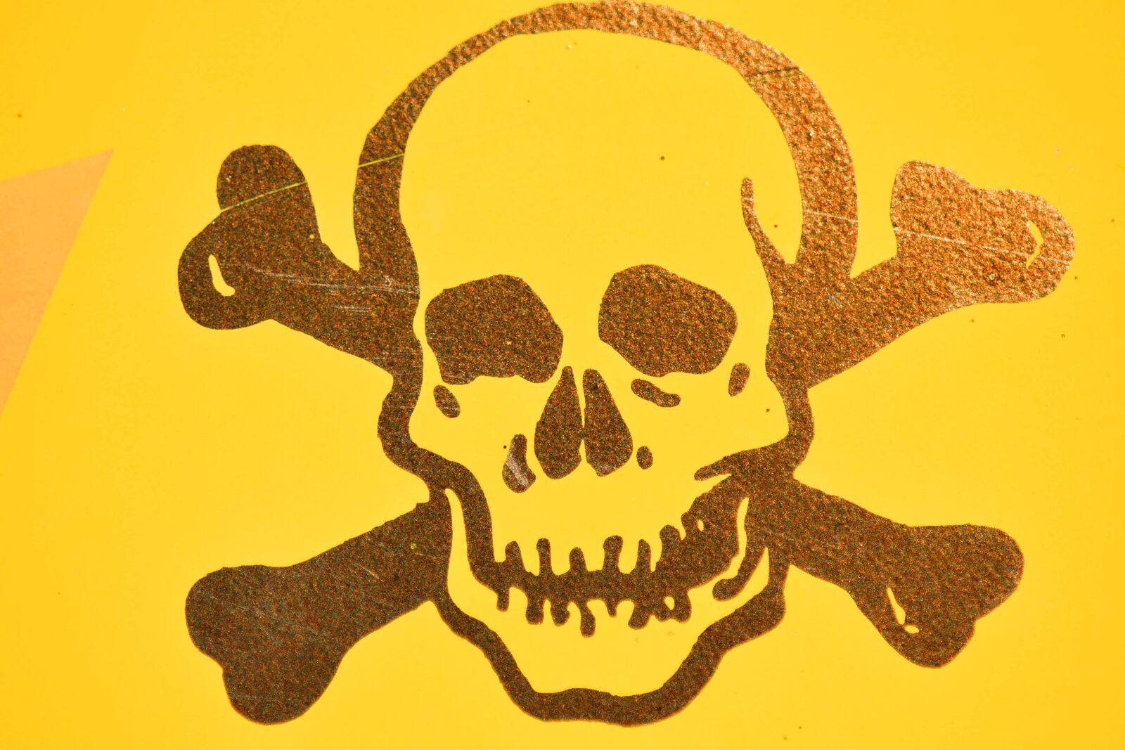 Nikon D5500 sample photo. Skull, illustration, art, symbol photography
