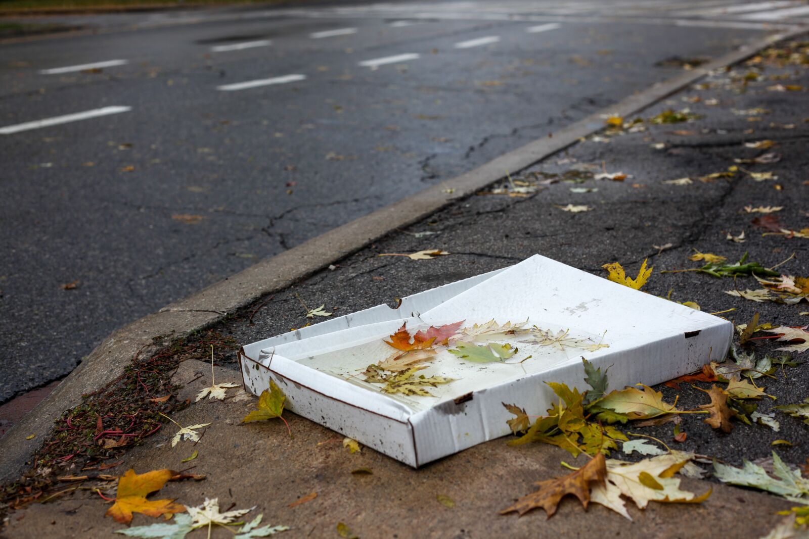 Canon EOS 5D Mark II sample photo. Pizza carton, weather, garbage photography