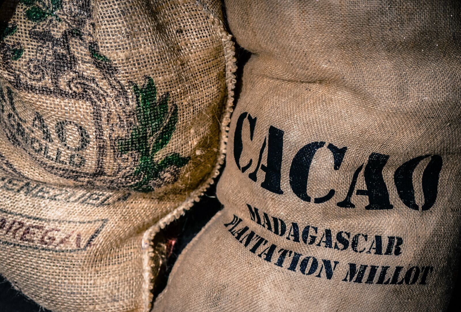 Nikon D610 sample photo. Bag, cacao, fair trade photography